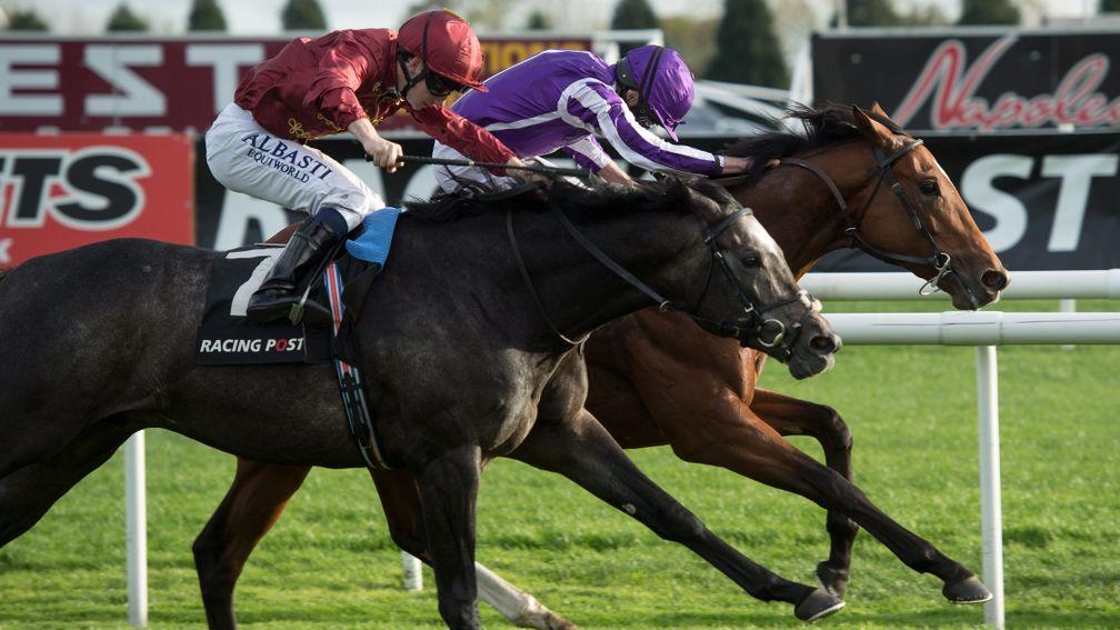 Saxon Warrior (right) narrowly denies Roaring Lion in last year's Racing Post Trophy