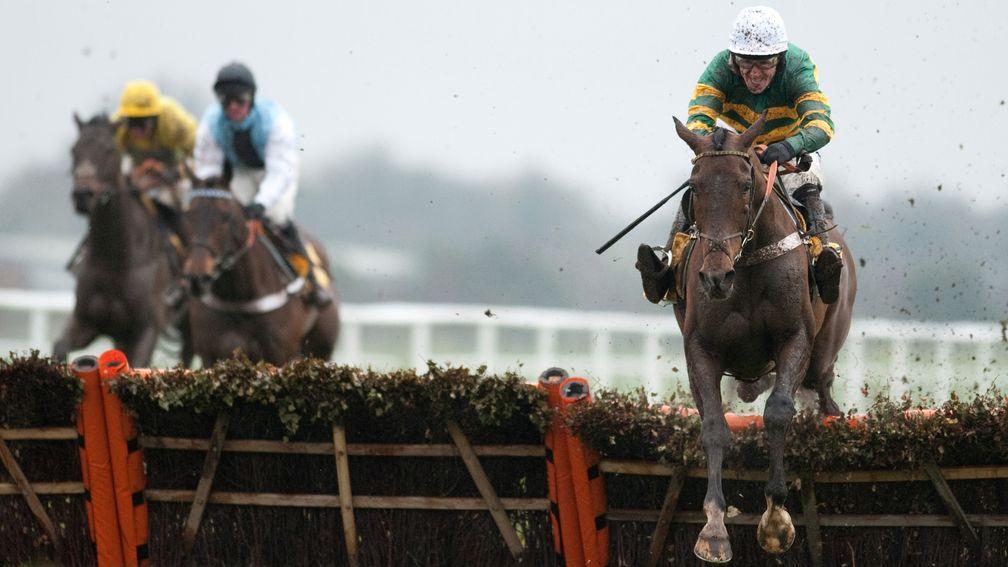 My Tent Or Yours: winner of the Betfair Hurdle in 2013