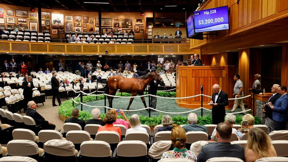 The Into Mischief colt out of All American Dream is another to go the way of Zedan Racing, this time for $3.2 million