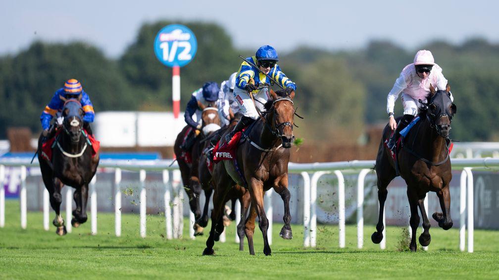 Trueshan holds off all comers for a superb Doncaster Cup triumph