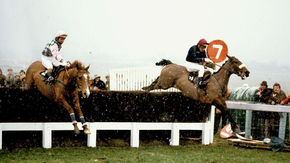 Alverton (left) jumps the last upsides Tied Cottage in the 1979 Gold Cup