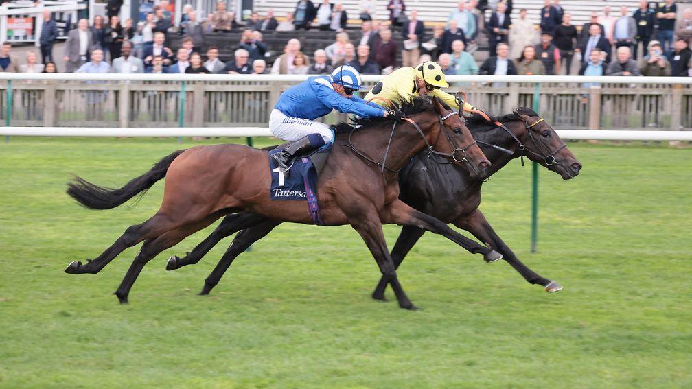 Alyanaabi: will head for the Dewhurst after winning at Newmarket last month