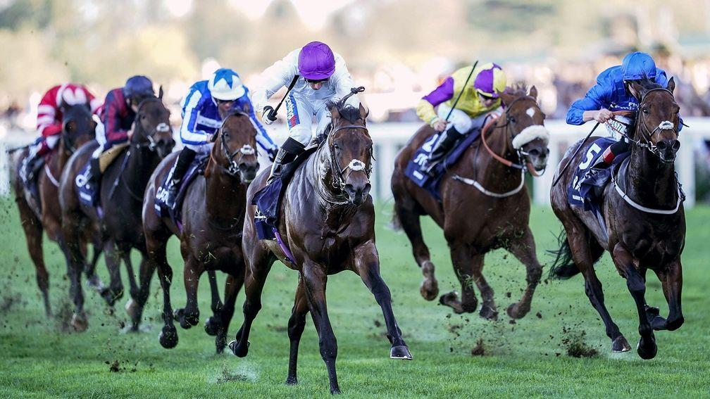 Sands Of Mali (purple cap) powers home to win the Champions Sprint from Harry Angel (right)