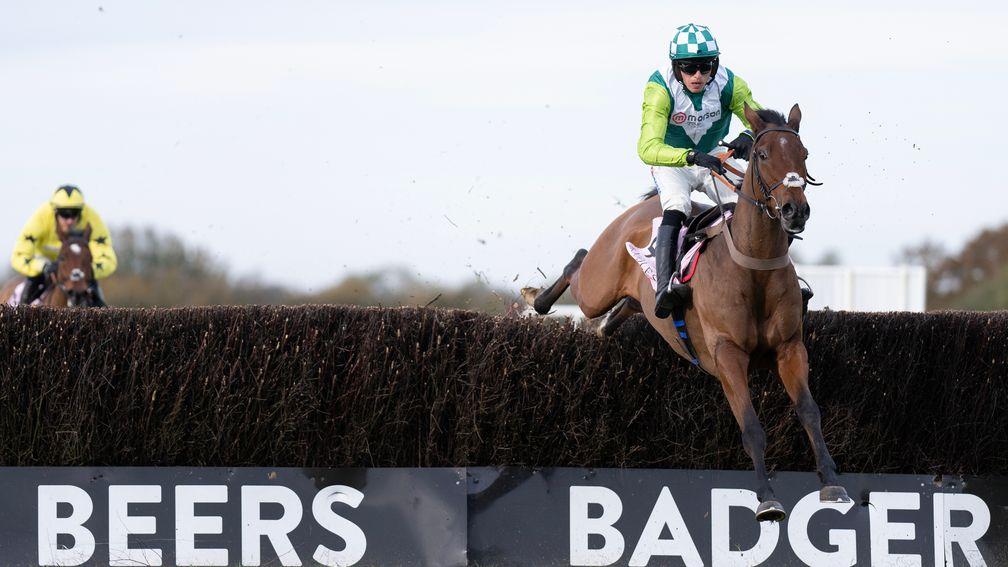 Knappers Hill: won the Rising Stars Novices' Chase at Wincanton