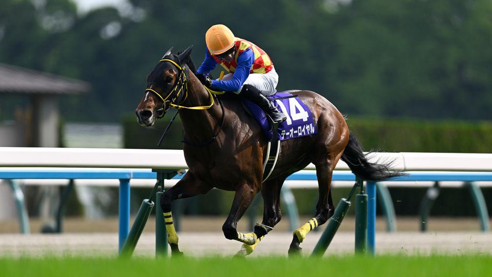 T O Royal: sprinted clear for Tenno Sho Spring success
