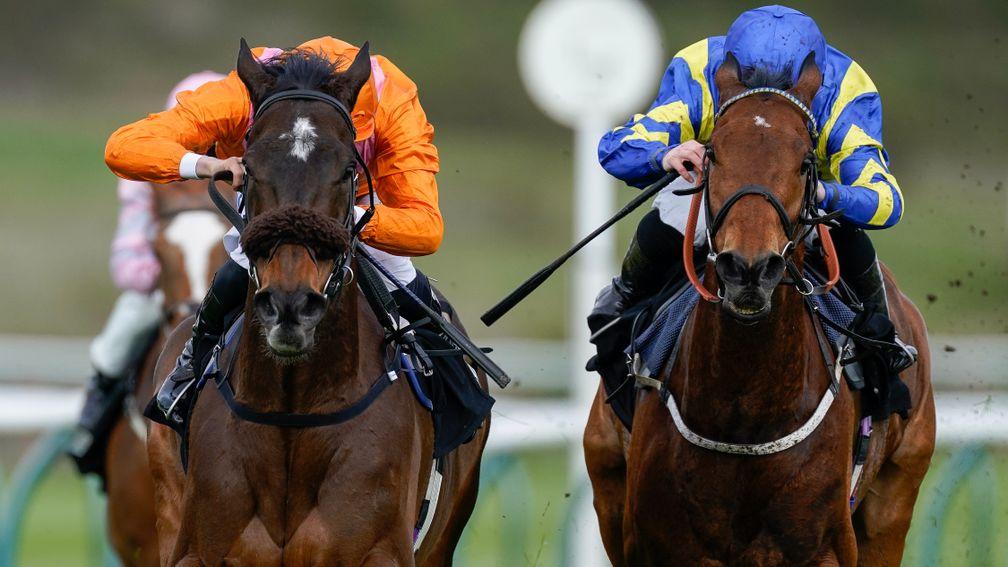 Rajinsky (orange) and Trueshan are entered in the Sagaro Stakes at Ascot on Wednesday
