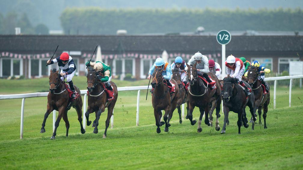 Sabre (far left) finishes second to Vintage Brut (second left) in Sandown's National Stakes