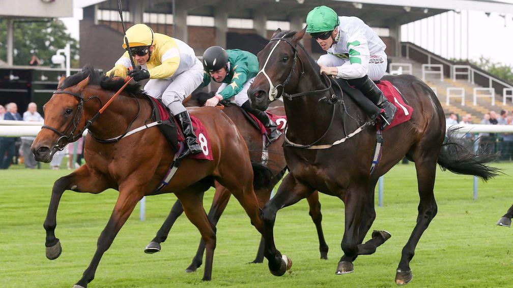 Staxton recording a shock 50-1 victory at Haydock last year