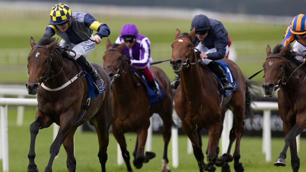 Deepone: struck in the Beresford Stakes