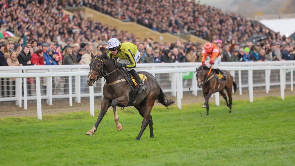 Burdett Road: could head to either Trials day at Cheltenham or the Dublin Racing Festival before March