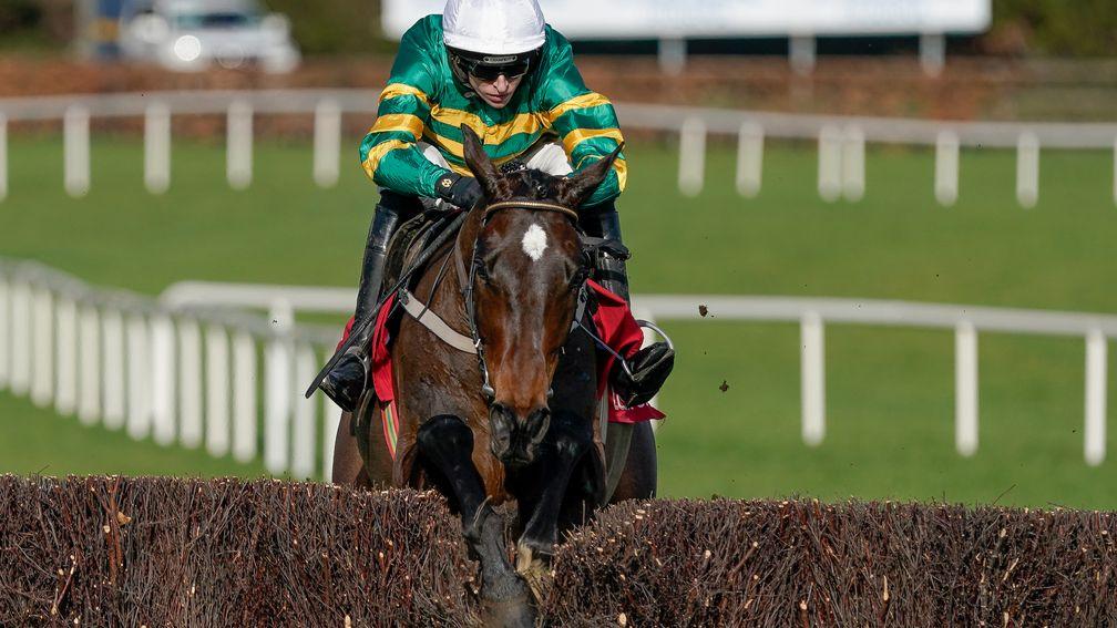 Fact To File: has been well backed for success at Cheltenham