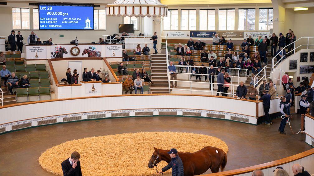 Oakgrove Stud's Frankel colt out of Poplin sells to Godolphin for 900,000gns at Tattersalls Book 1 