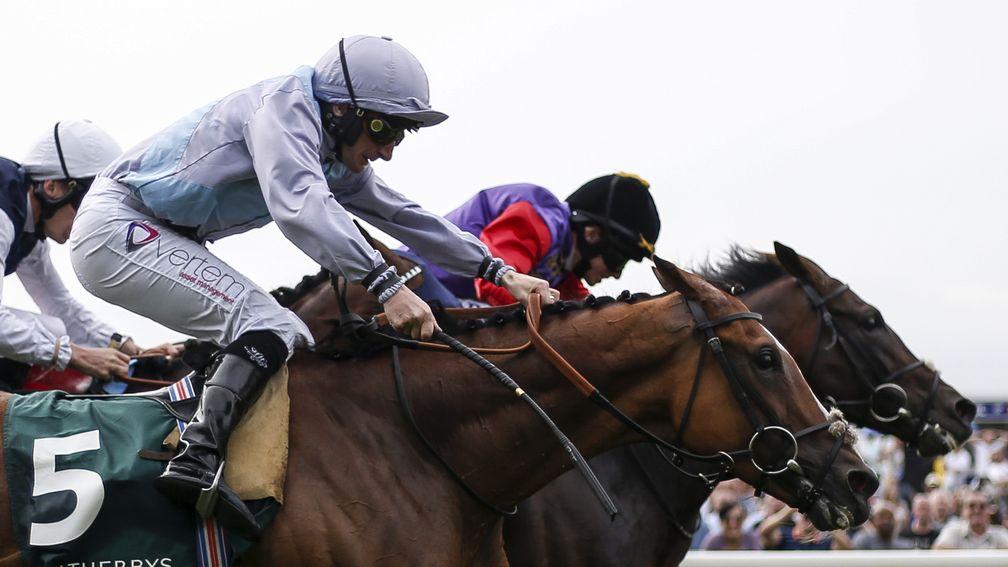 Darmouth (right): just foiled in Lonsdale Cup but set to seek compensation in Irish St Leger