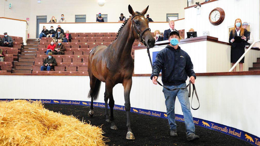 The Soldier Of Fortune filly who topped proceedings on day one at €54,000