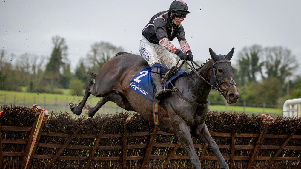 Brandy Love: could feature at Punchestown