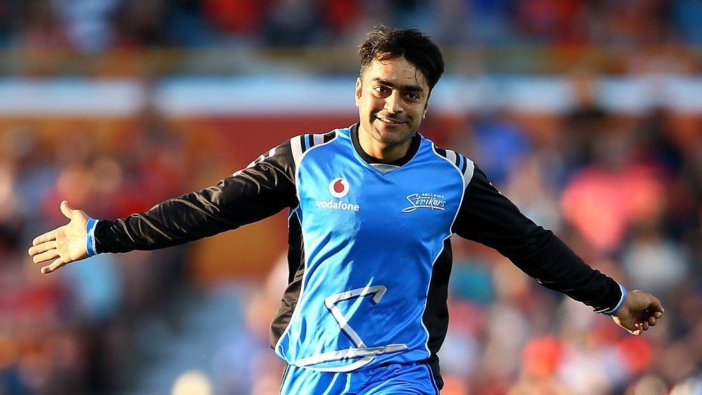 Afghanistan's Rashid Khan has impressed in the Big Bash and the Indian Premier League