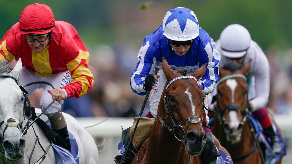 Derby fifth The Foxes is set to a return to a mile and a quarter 