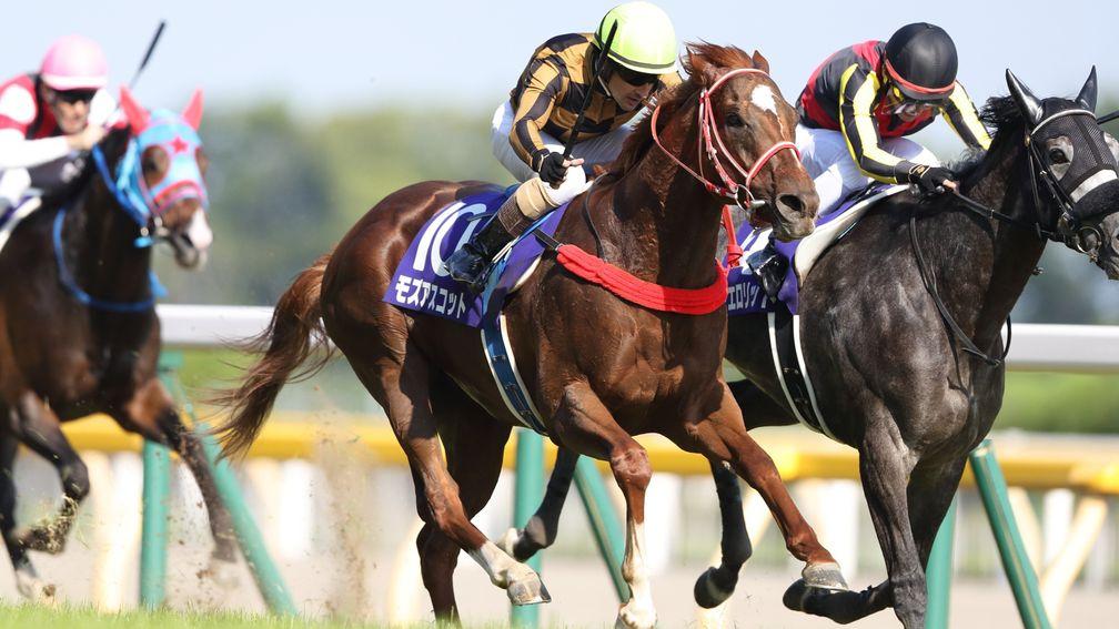Mozu Ascot (lime cap) comes through for a big-race triumph in the Yasuda Kinen