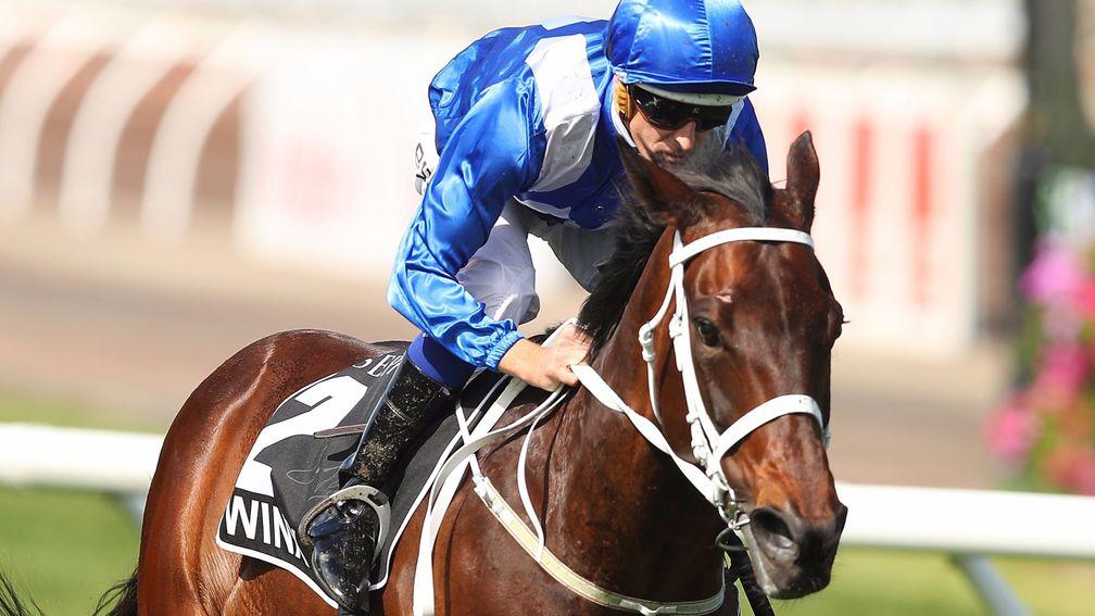 Winx: the wondermare wins a third Cox Plate at Moonee Valley