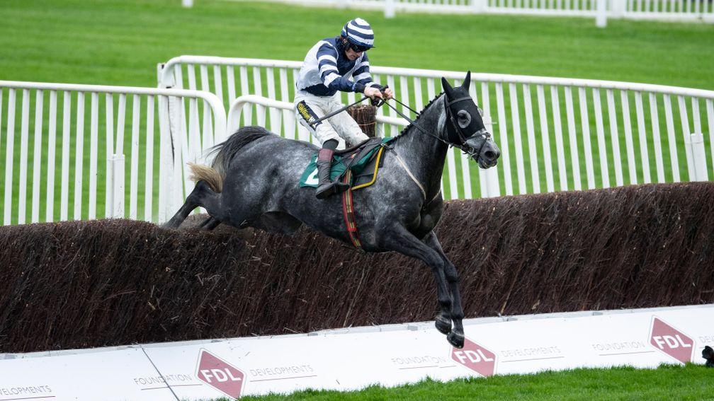 Al Dancer: makes his first start for Sam Thomas in the Paddy Power Gold Cup on Saturday