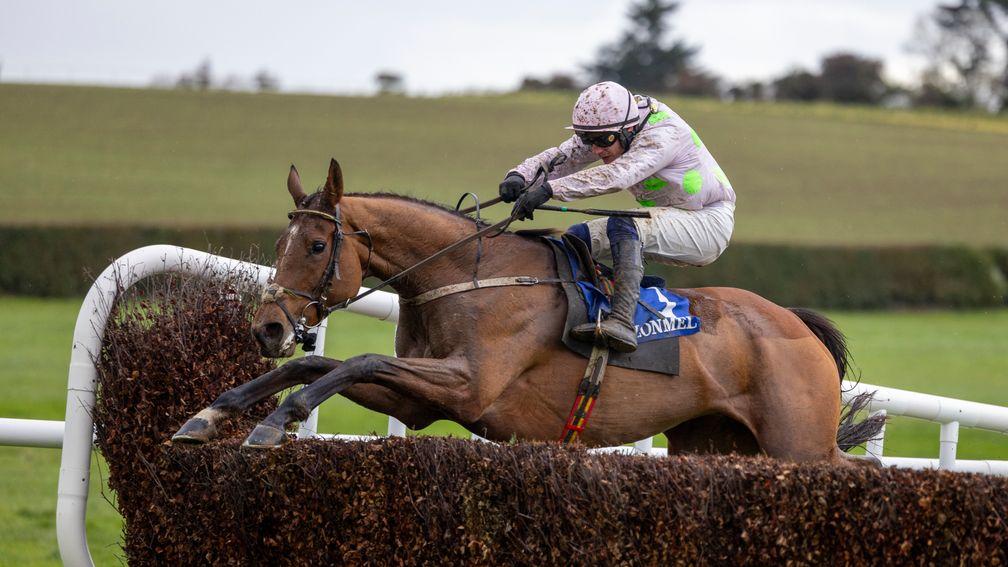 Allegorie De Vassy: last year's Mares' Chase second looks to be heading back to the race again