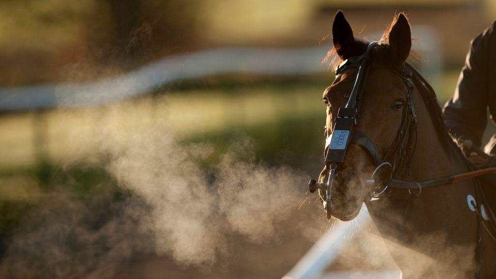 Racing needs to address how we asses our horses' wind
