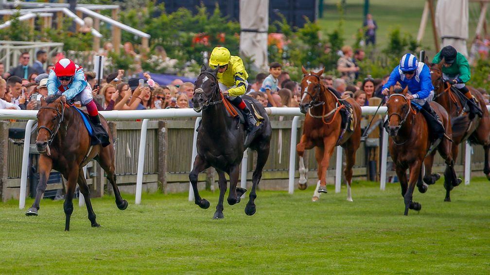 Golden Wolf (yellow) found one too good again when Amazing Red beat him at Newmarket