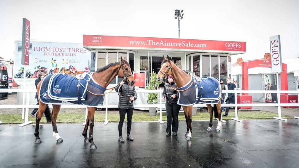 Outlander and Don Poli strike a pose ahead of the Goffs UK Aintree Sale