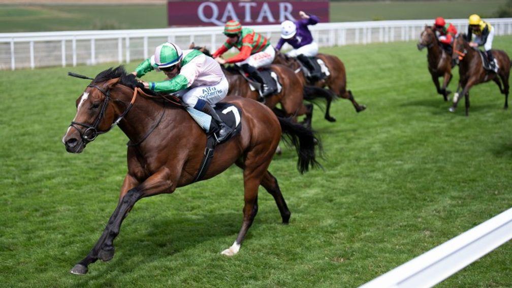 Royal Scotsman: entered in the Tattersalls Stakes on Thursday