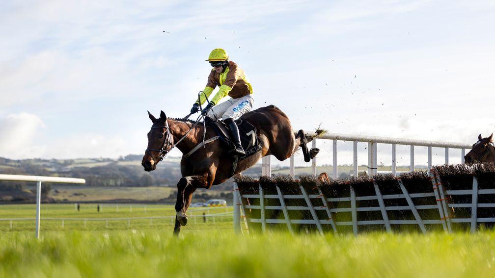 Highwind: one of six runners for Willie Mullins in the Grade 1 juvenile hurdle