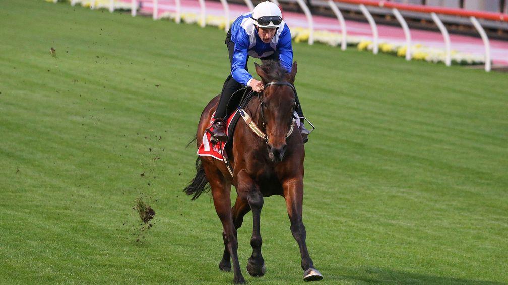 Winx: put through her paces at Moonee Valley by Hugh Bowman