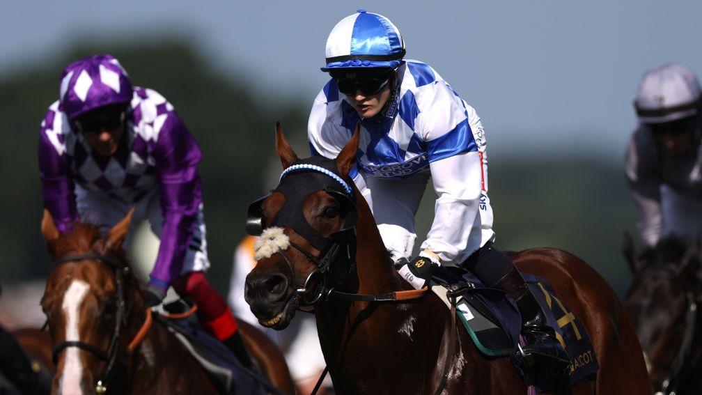 Saint Lawrence: Wokingham winner was followed to the winner's enclosure by brother Russet Gold at Redcar on Saturday