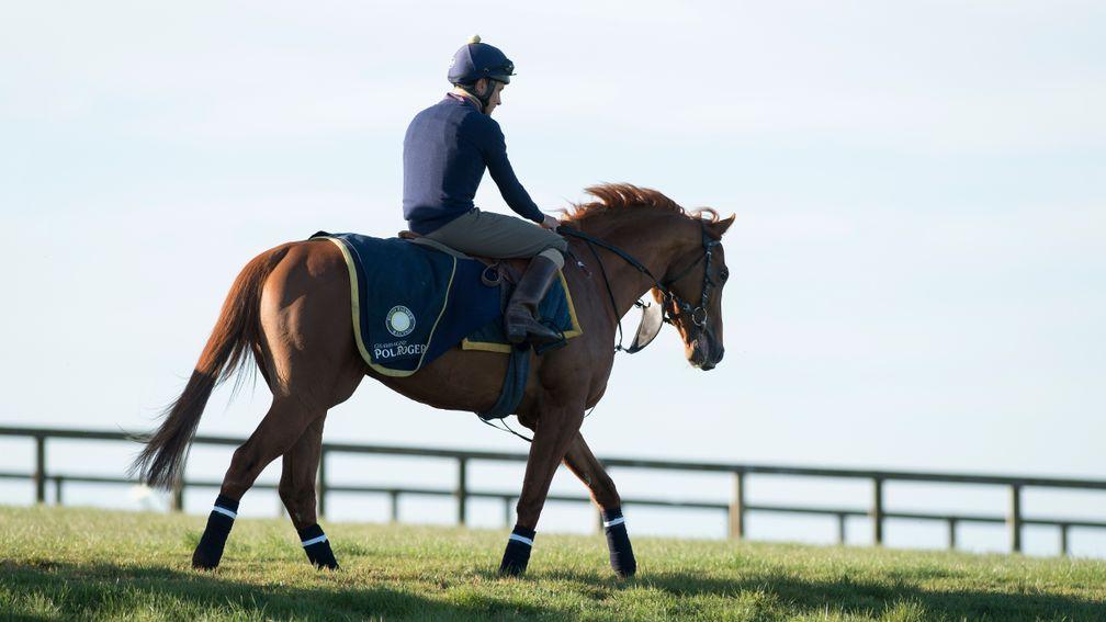 Galileo Gold, back in his training days for Hugo Palmer in 2017