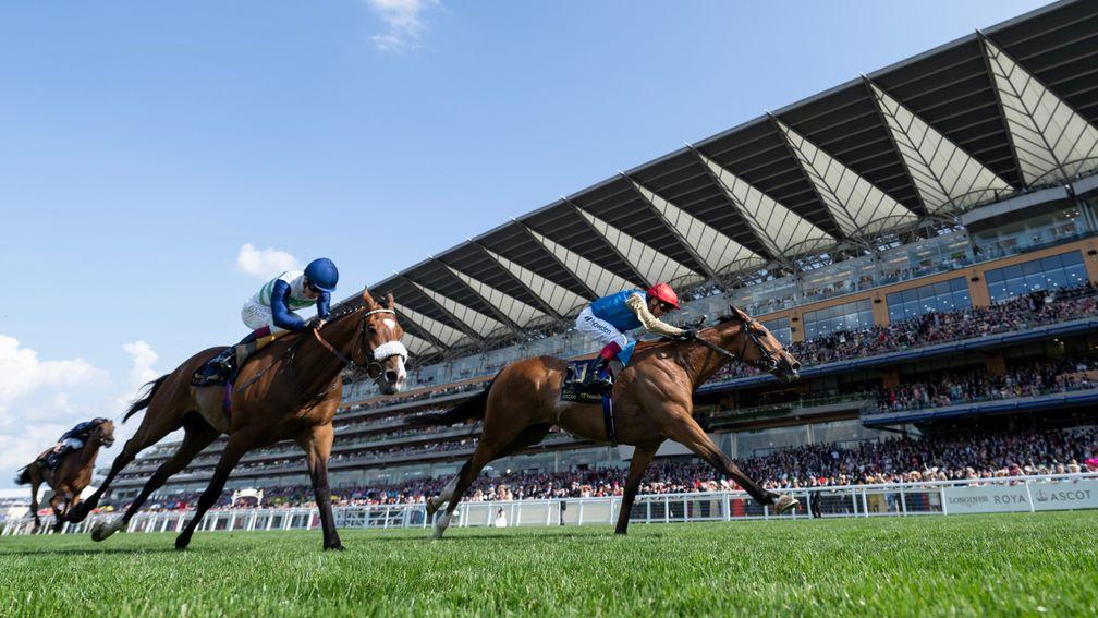 Courage Mon Ami battles to Gold Cup glory at Royal Ascot