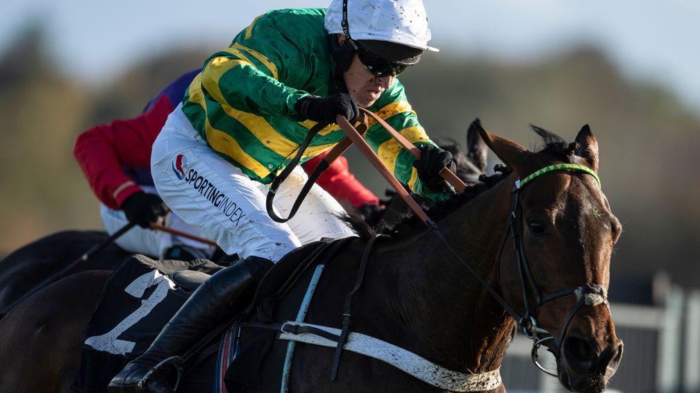 Champ: favourite for next month's RSA Insurance Novices' Chase