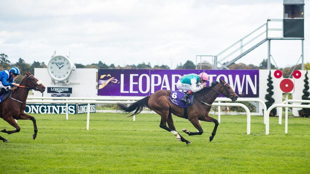 Contingent runs out an impressive winner on debut at Leopardstown