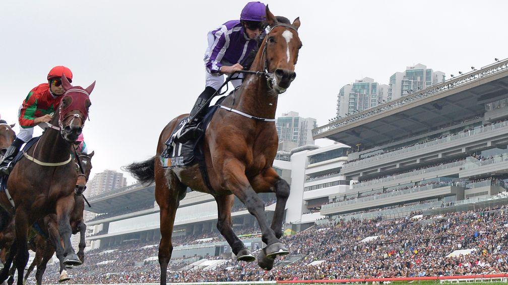 Highland Reel was just denied in his defence of the Hing Kong Vase
