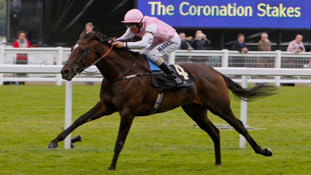 Fallen For You wins the 2012 Coronation Stakes at Royal Ascot