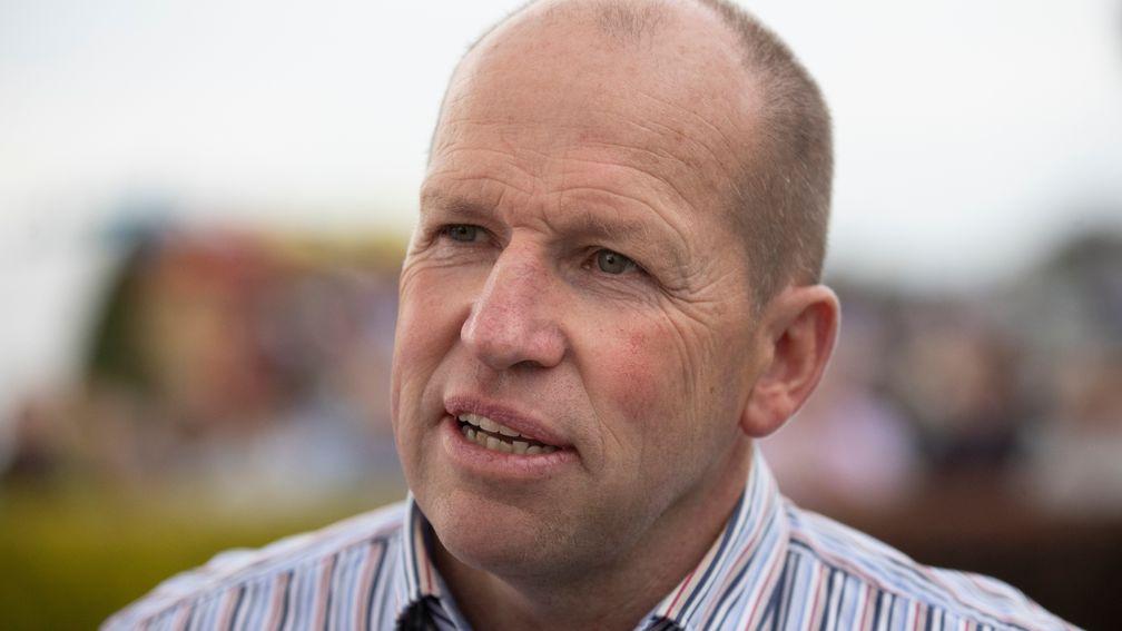 Terence O'Brien: 'You can't just throw those horses out to the field.'