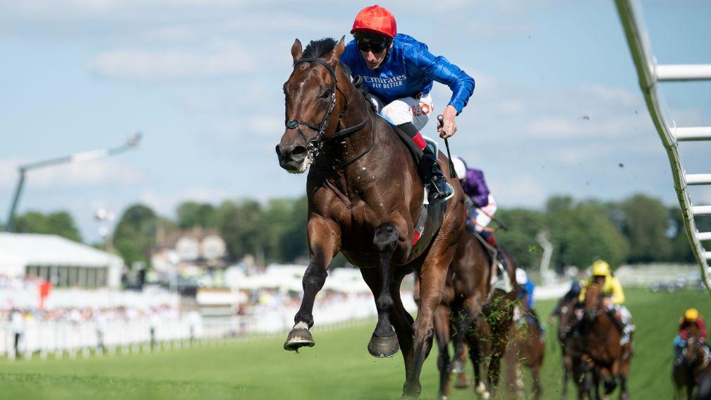 Adayar: Derby winner ran in Lingfield's trial before the big one at Epsom two years ago