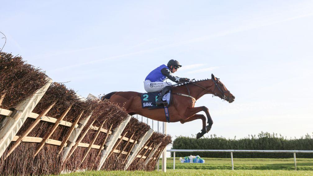 Ashroe Diamond: now second-favourite for the Mares' Hurdle after Cheltenham success