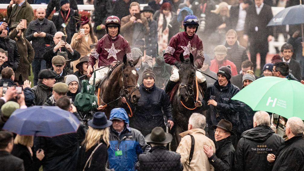 Tiger Roll (left) alongside his stablemate Delta Work at this year's Cheltenham Festival