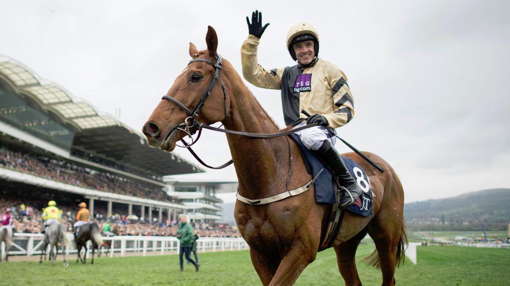 Yorkhill: unbeaten at the Cheltenham Festival and could be a Gold Cup contender in 2018