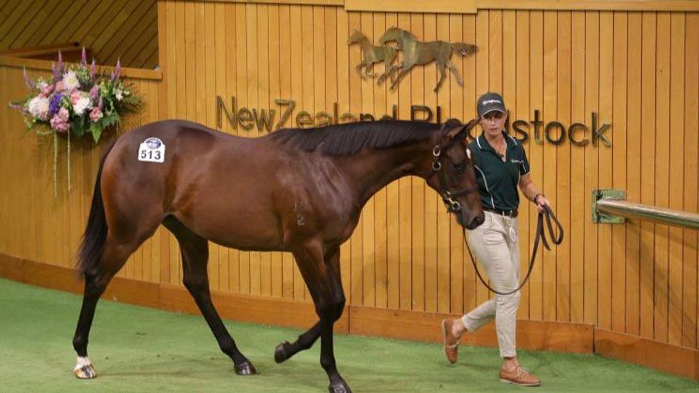 The Wootton Bassett filly out of Via Napoli topped trade at Karaka Book 1 