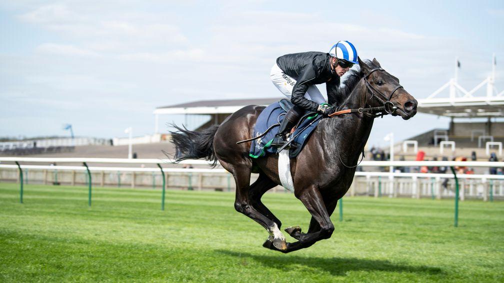 Jim Crowley partners Elarqam in a racecourse gallop at Newmarket