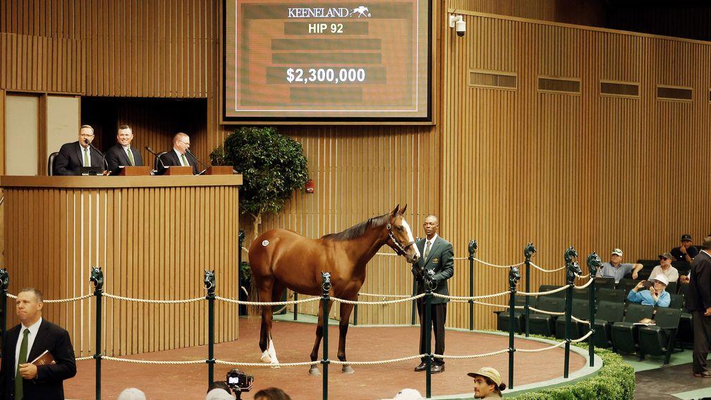 The Into Mischief filly out of Grade 3-winning Tapit mare Delightful Joy makes her mark at the Keeneland September Yearling Sale