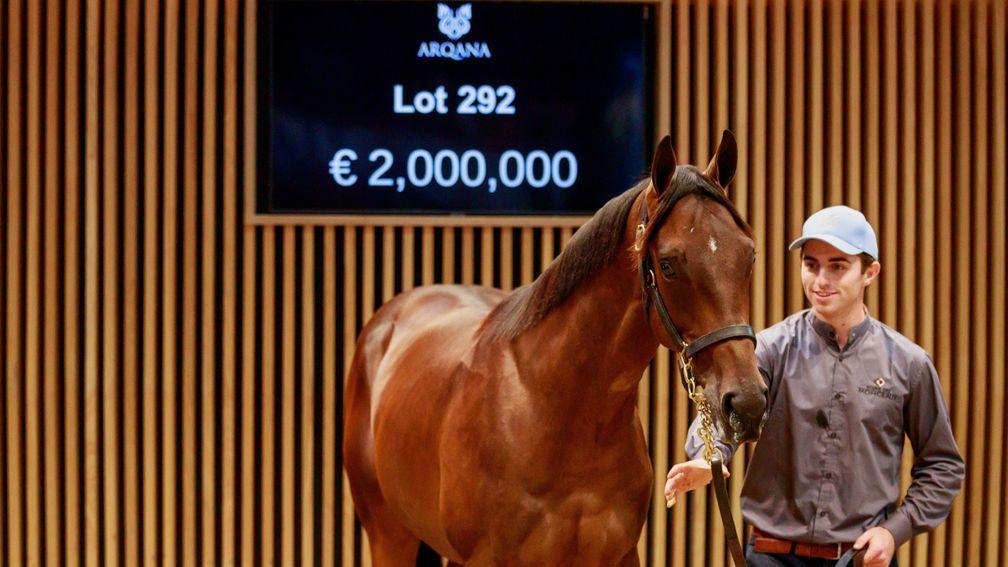 Ancient Wisdom in the ring at Arqana as a yearling