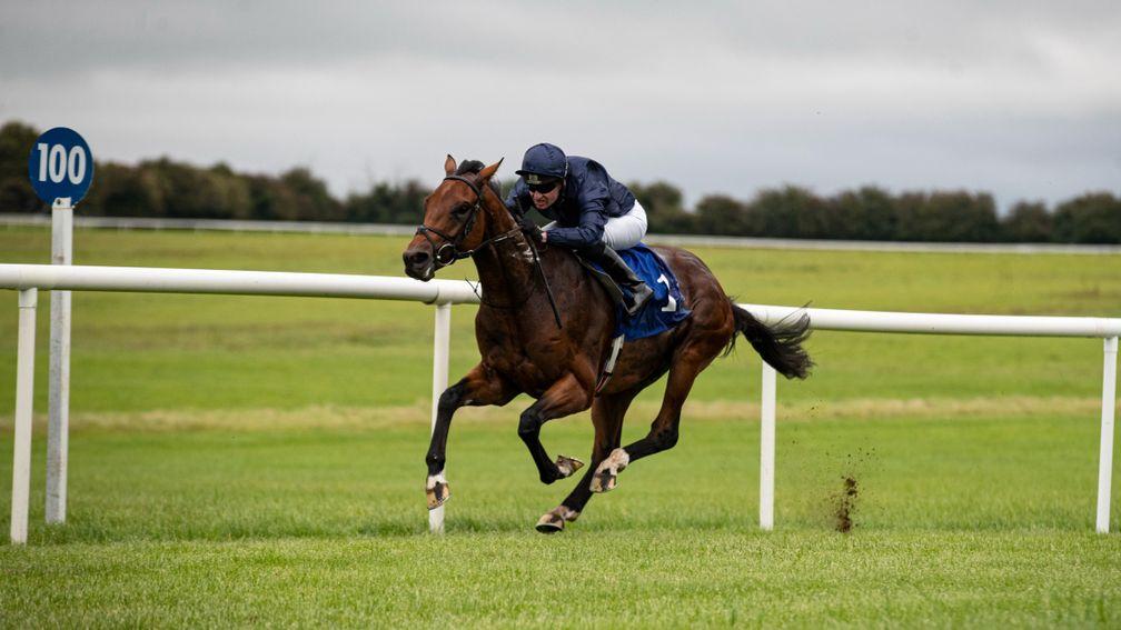 Anchorage: gave weight and a beating to all rivals at Thurles