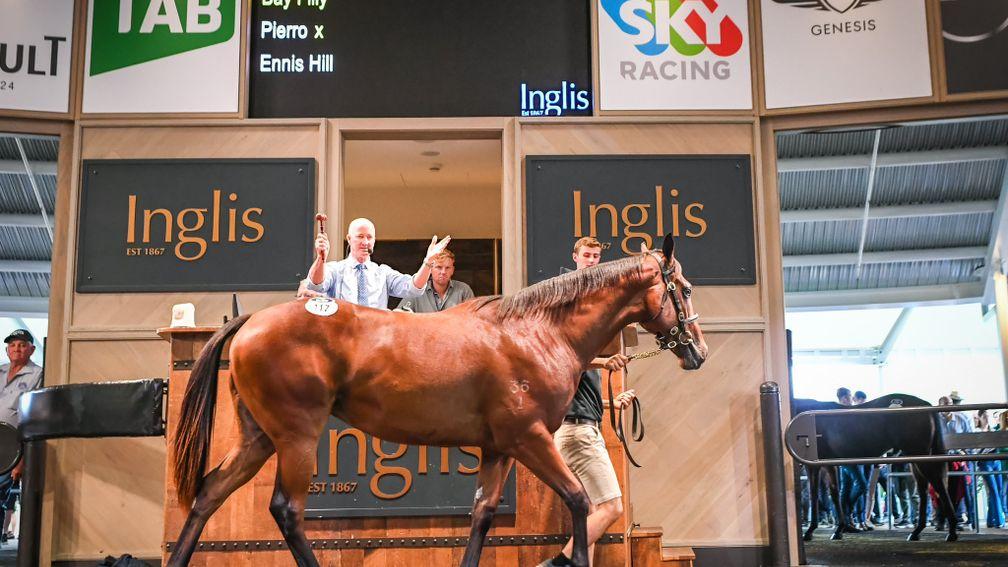 The Pierro x Ennis Hill filly who topped proceedings on Monday