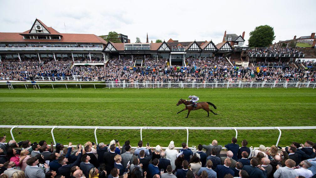 Cup glory: Magic Circle won last year's Chester Cup